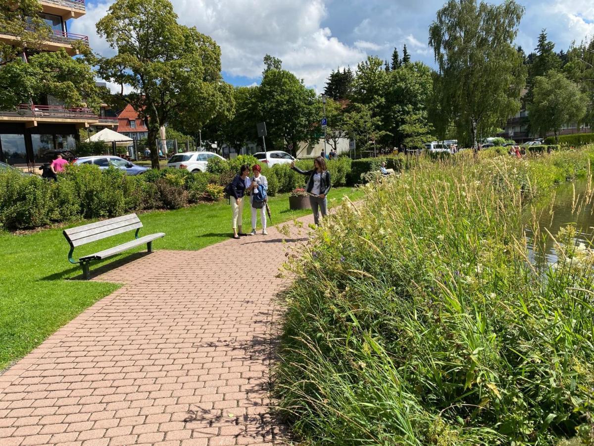 Steinmaennchen Ferienwohnung Goslar Eksteriør billede